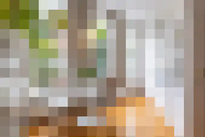 Nieuwstraat 117 Groningen thumbnail 25