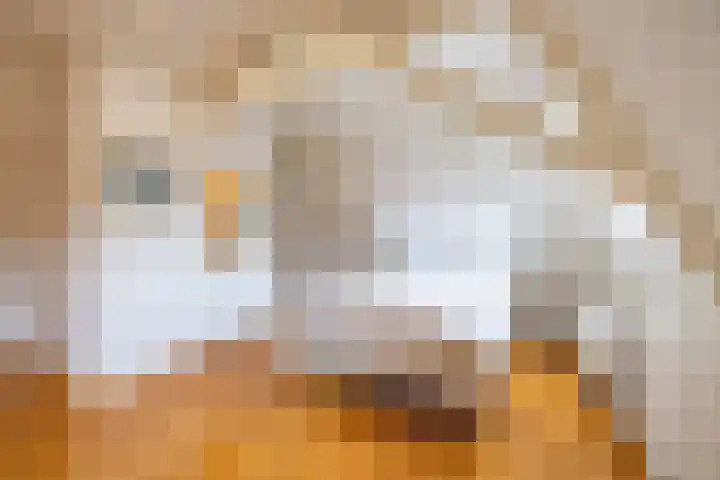 Nieuwstraat 117 Groningen thumbnail 37