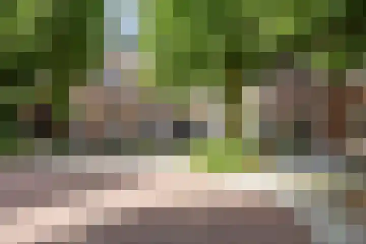 Nieuwstraat 117 Groningen thumbnail 4