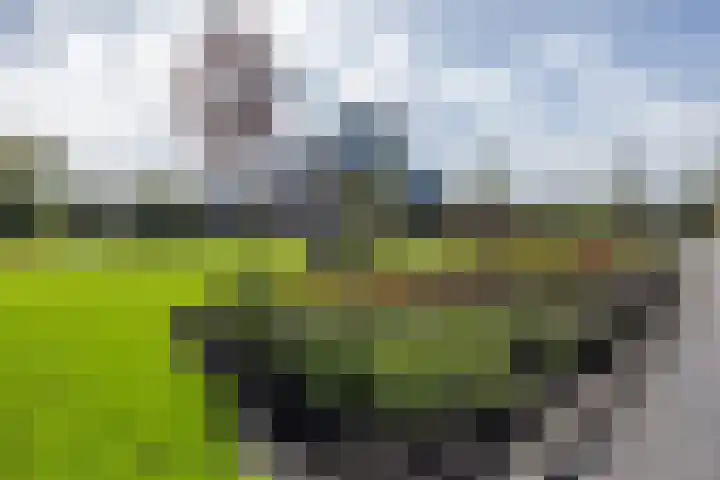 Nieuwstraat 117 Groningen thumbnail 40