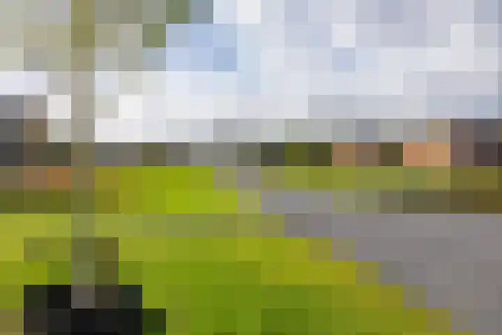 Nieuwstraat 117 Groningen thumbnail 41