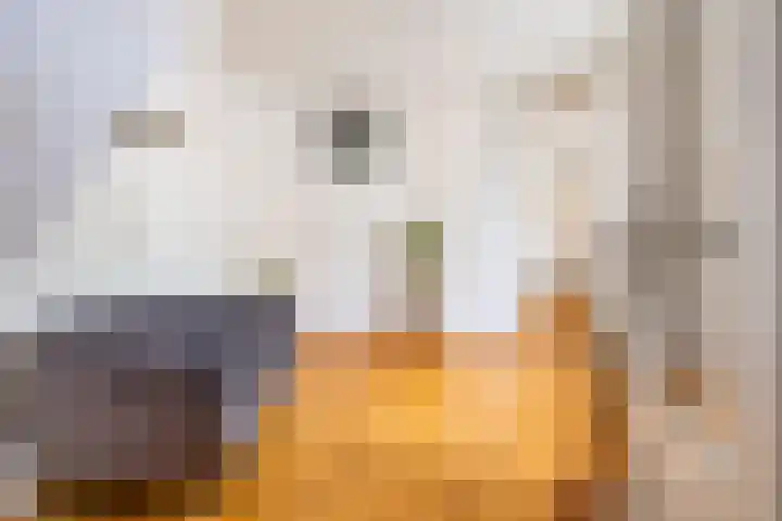 Nieuwstraat 117 Groningen thumbnail 7