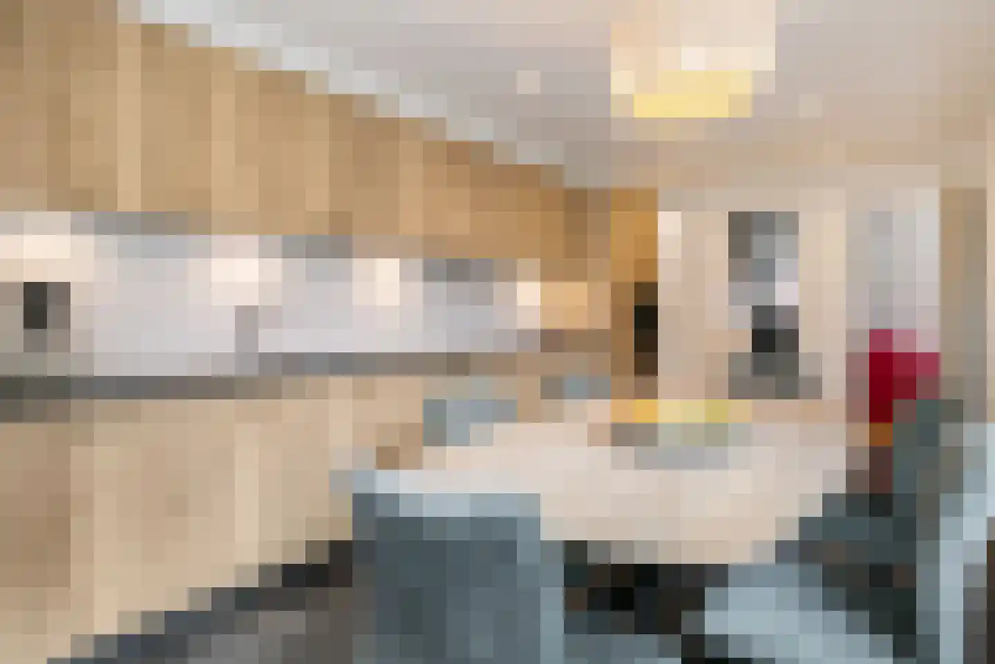 Nieuwstraat 117 Koewacht thumbnail 11