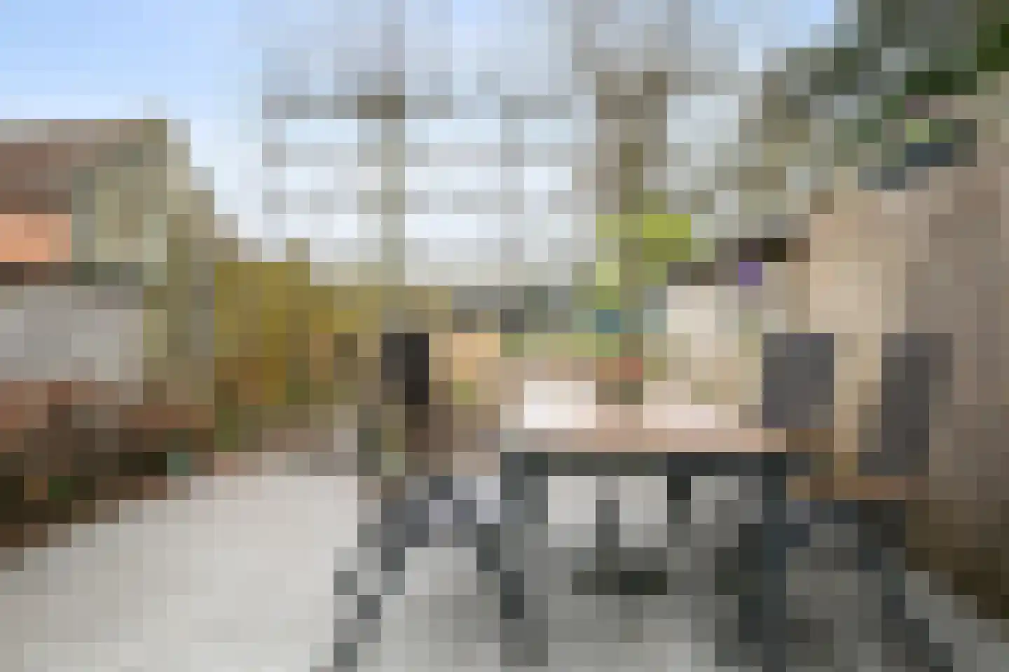 Nieuwstraat 117 Koewacht thumbnail 27