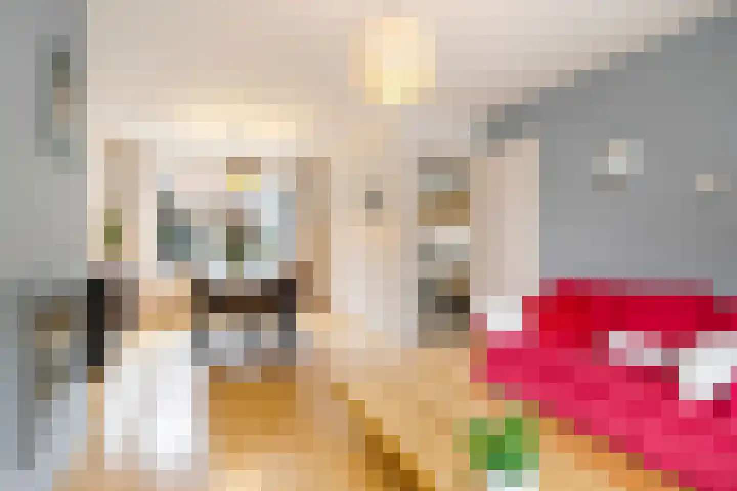 Nieuwstraat 117 Koewacht thumbnail 4