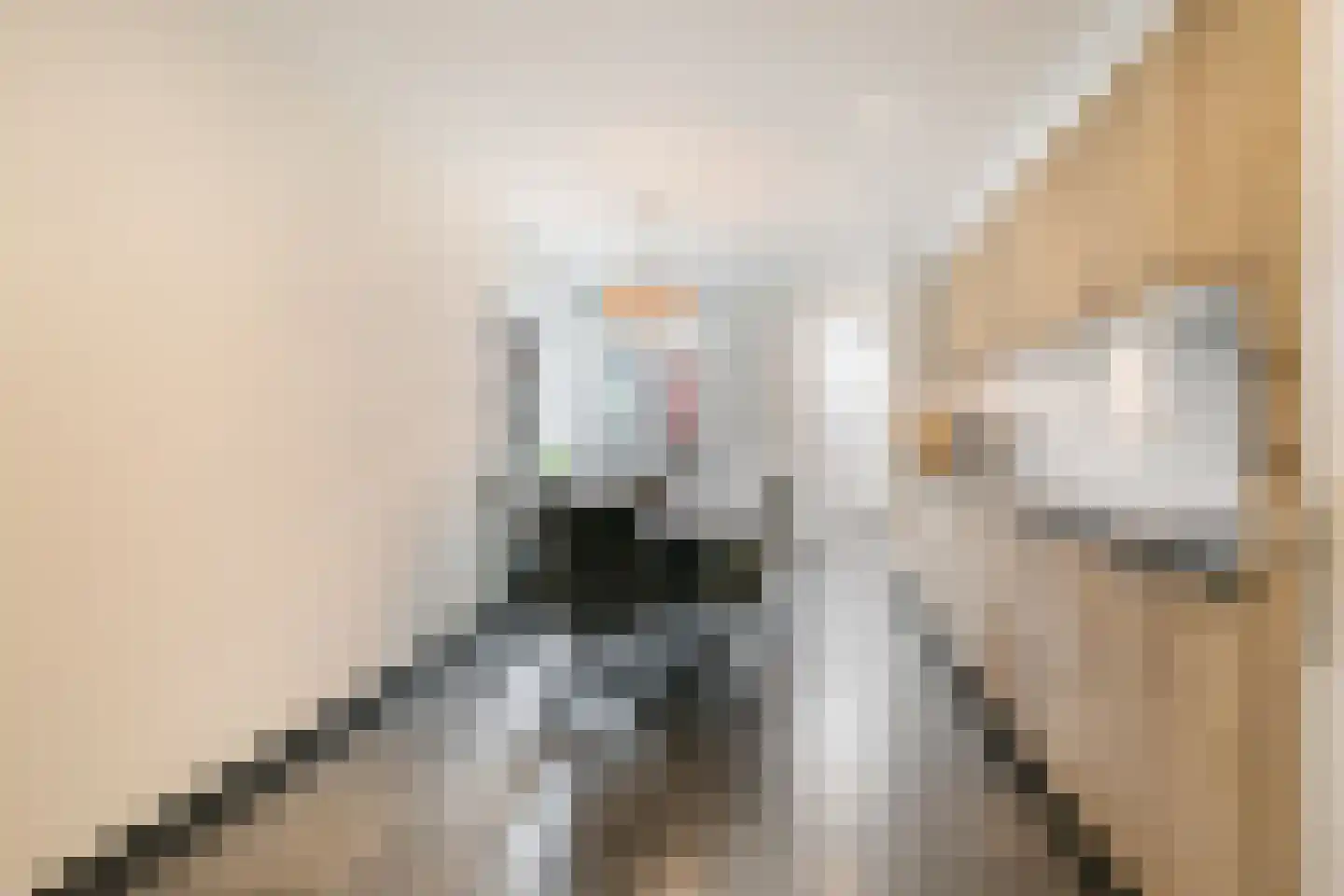 Nieuwstraat 117 Koewacht thumbnail 9