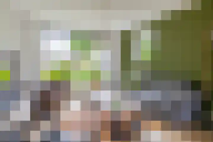 Nieuwstraat 12 A Hapert thumbnail 10