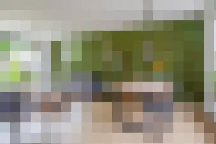 Nieuwstraat 12 A Hapert thumbnail 11
