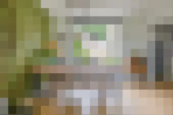 Nieuwstraat 12 A Hapert thumbnail 12