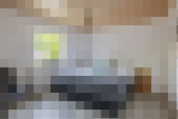 Nieuwstraat 12 A Hapert thumbnail 22