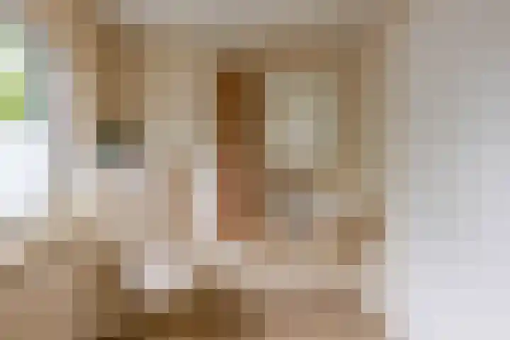 Nieuwstraat 12 A Hapert thumbnail 26