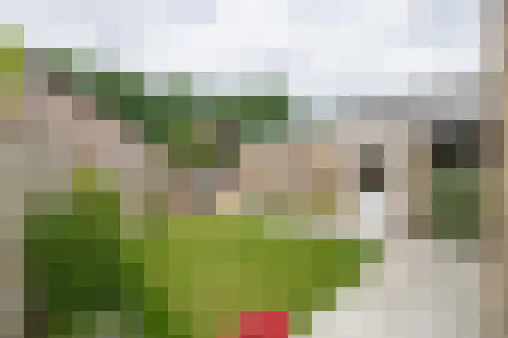 Nieuwstraat 12 A Hapert thumbnail 29