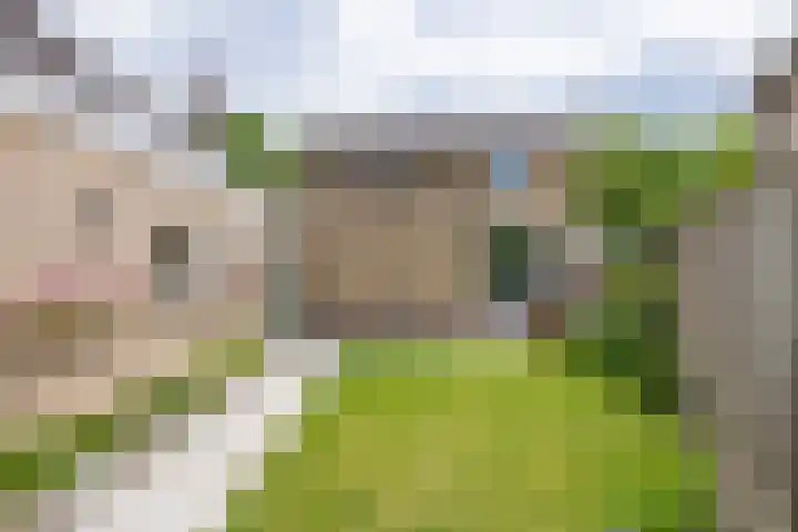 Nieuwstraat 12 A Hapert thumbnail 33