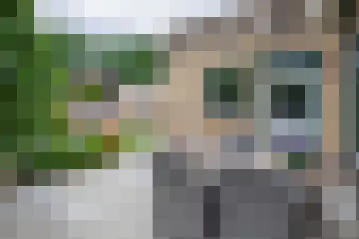 Nieuwstraat 12 A Hapert thumbnail 4