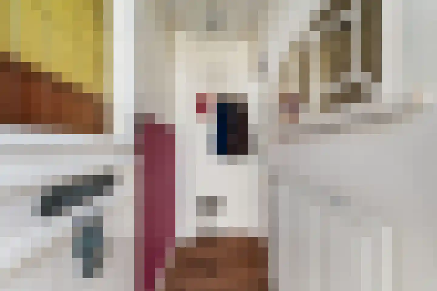 Nieuwstraat 12 Alphen aan den Rijn thumbnail 11