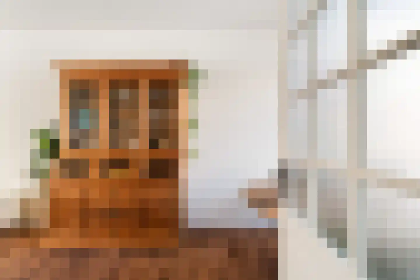 Nieuwstraat 12 Alphen aan den Rijn thumbnail 12