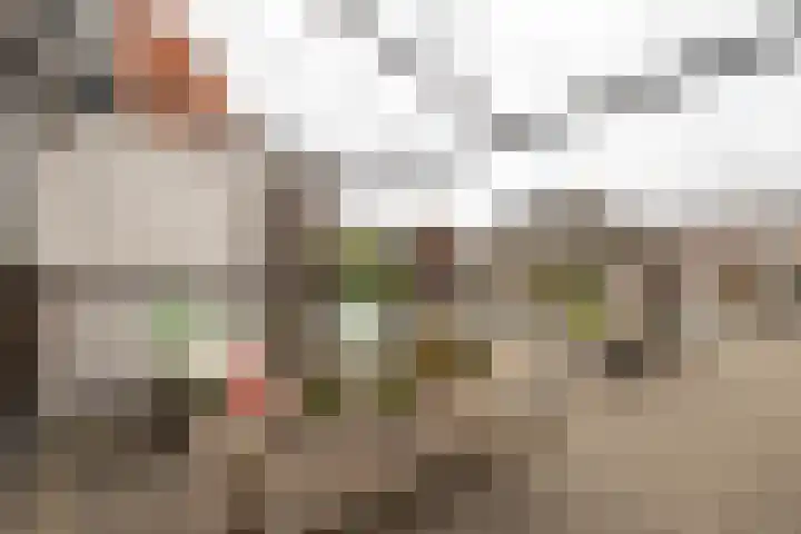 Nieuwstraat 12 Alphen aan den Rijn thumbnail 23