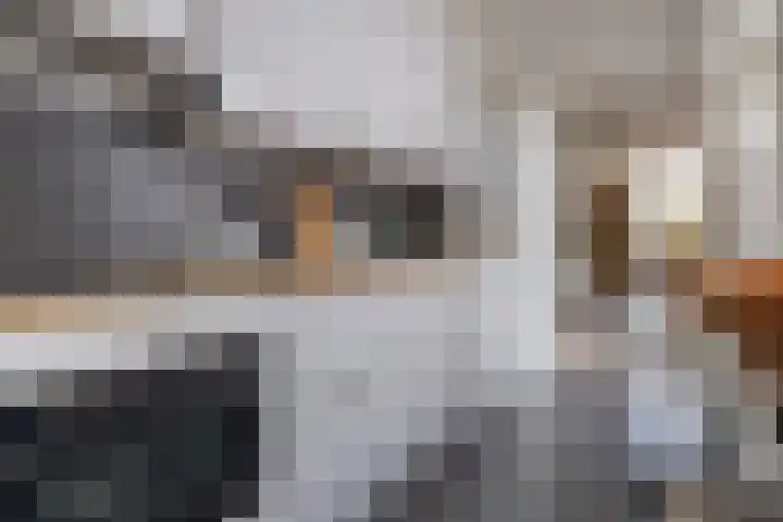 Nieuwstraat 12 Alphen aan den Rijn thumbnail 7