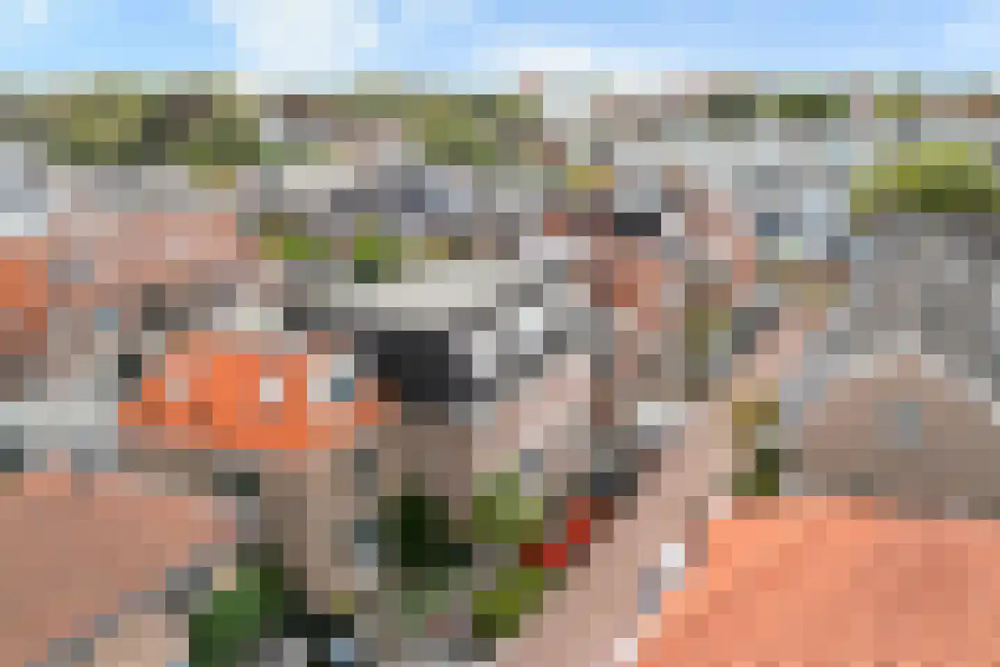 Nieuwstraat 12 Alphen aan den Rijn thumbnail 8