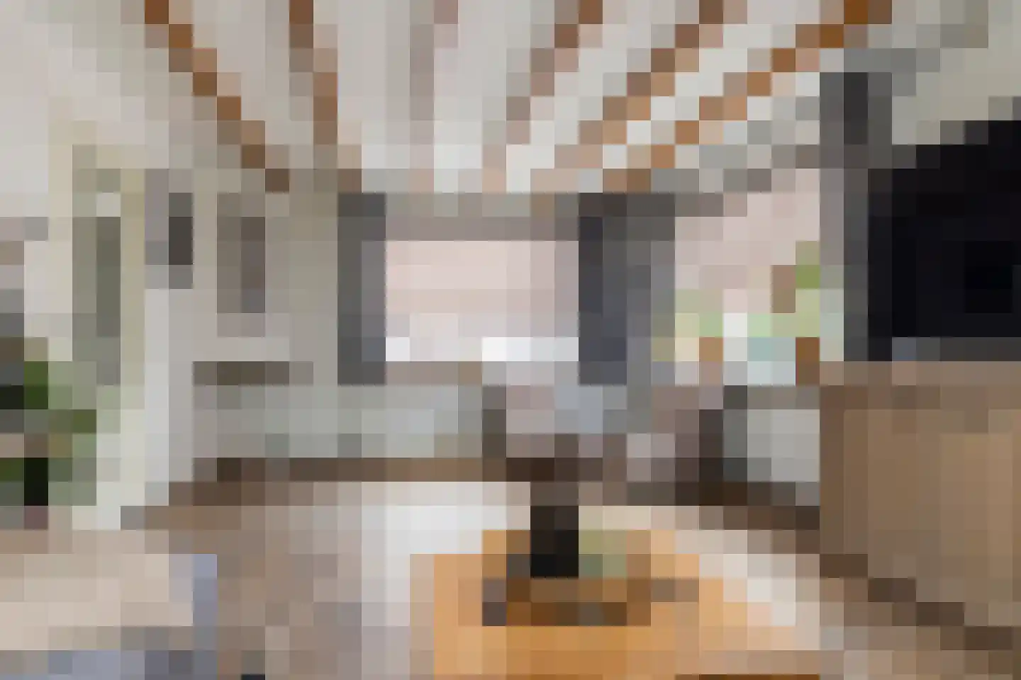 Nieuwstraat 12 Appingedam thumbnail 13