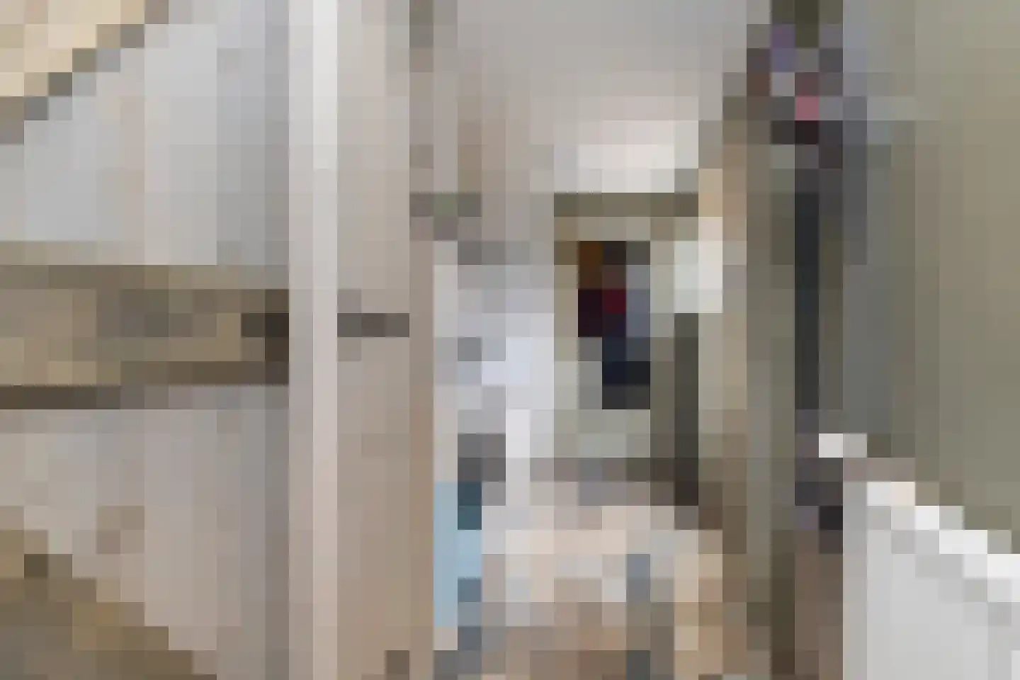Nieuwstraat 12 Appingedam thumbnail 18