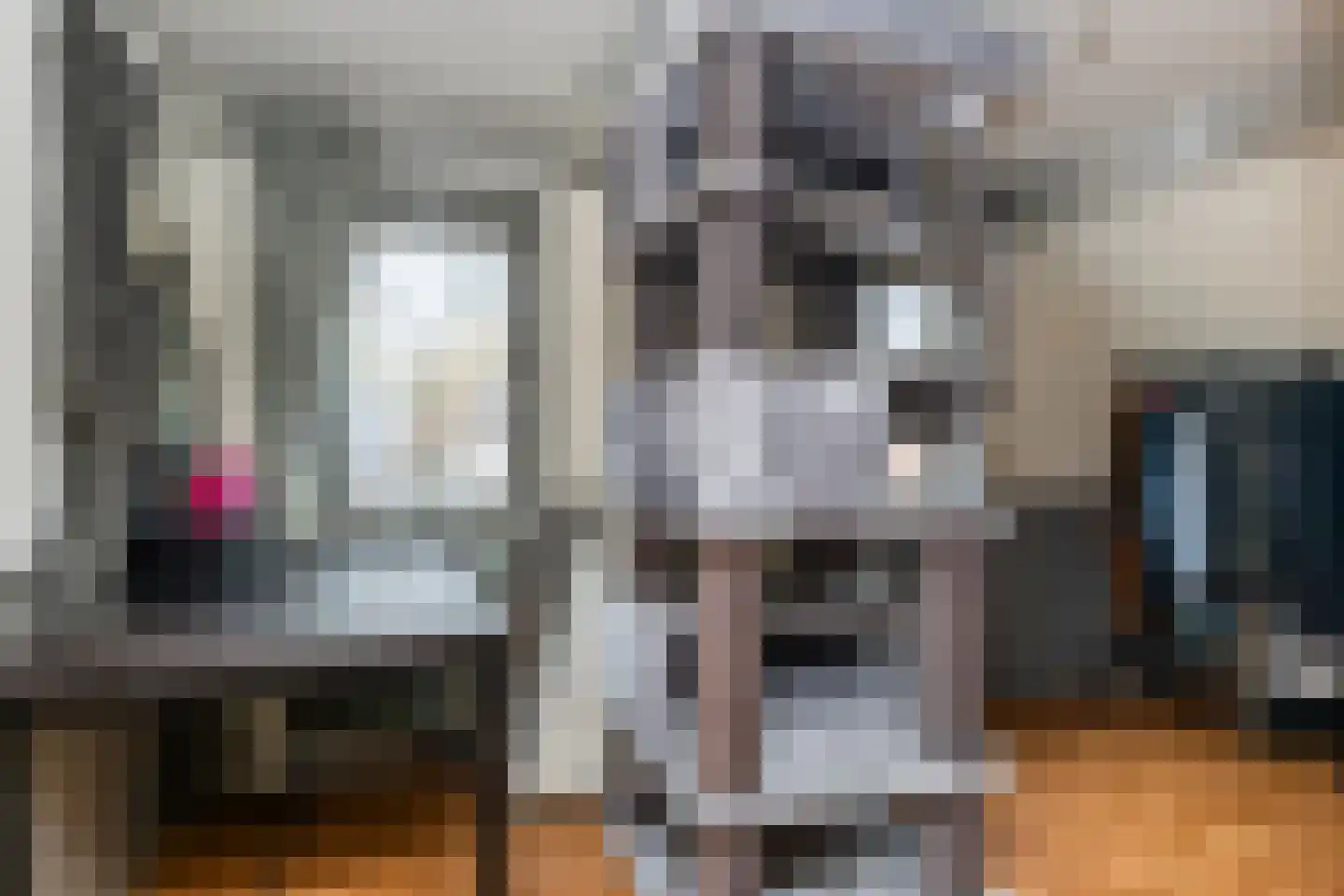 Nieuwstraat 12 Appingedam thumbnail 25