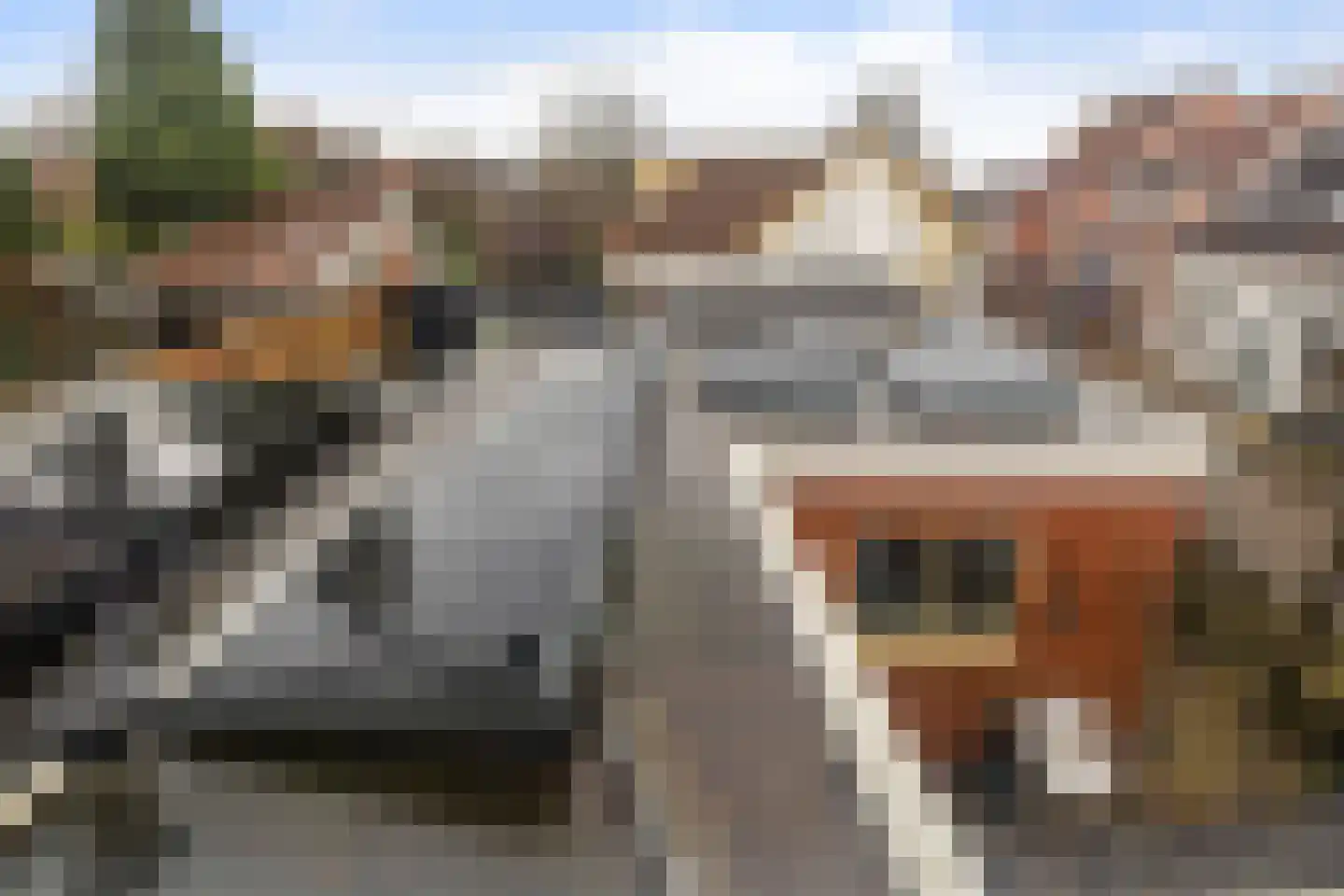 Nieuwstraat 12 Appingedam thumbnail 32