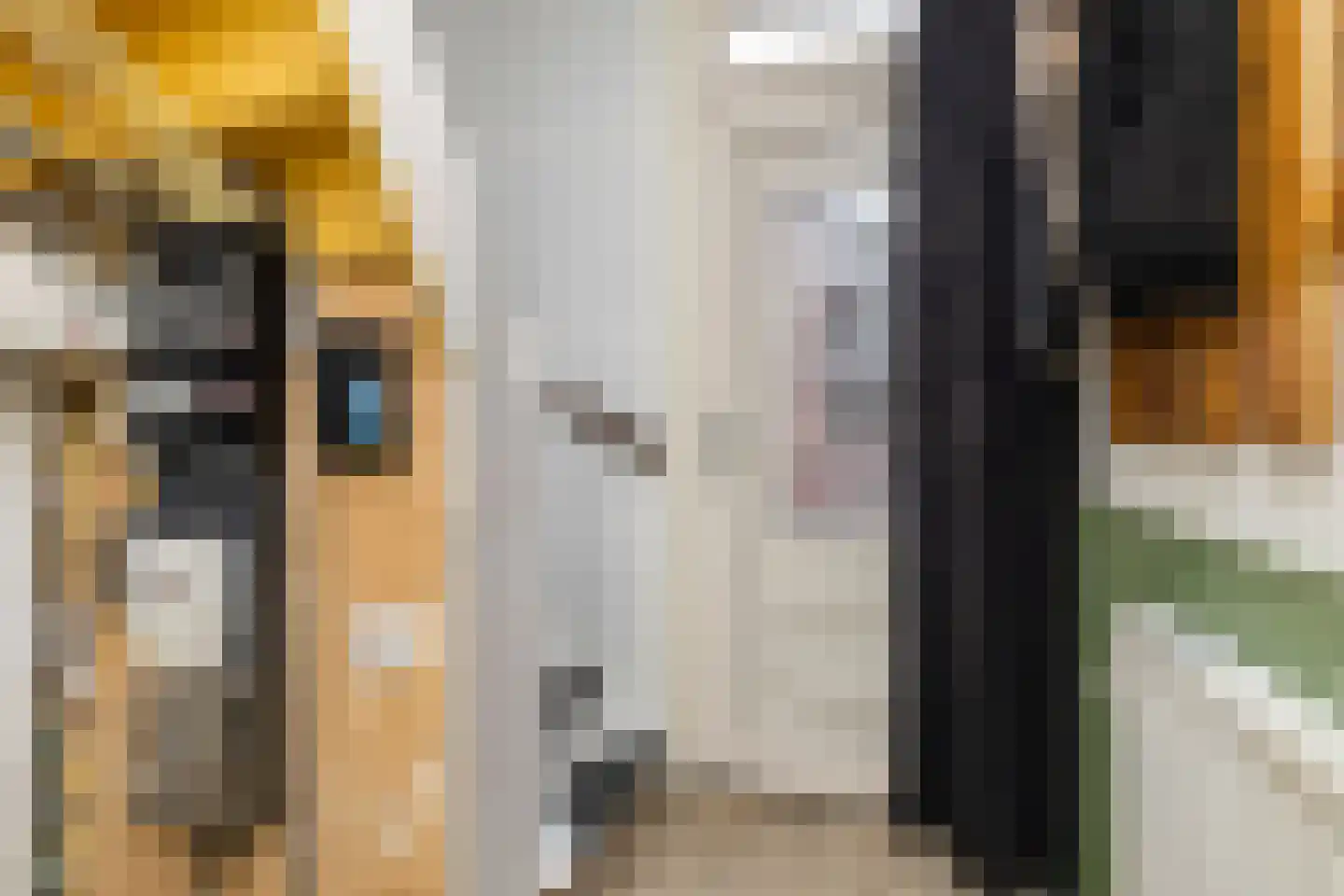 Nieuwstraat 12 Appingedam thumbnail 9