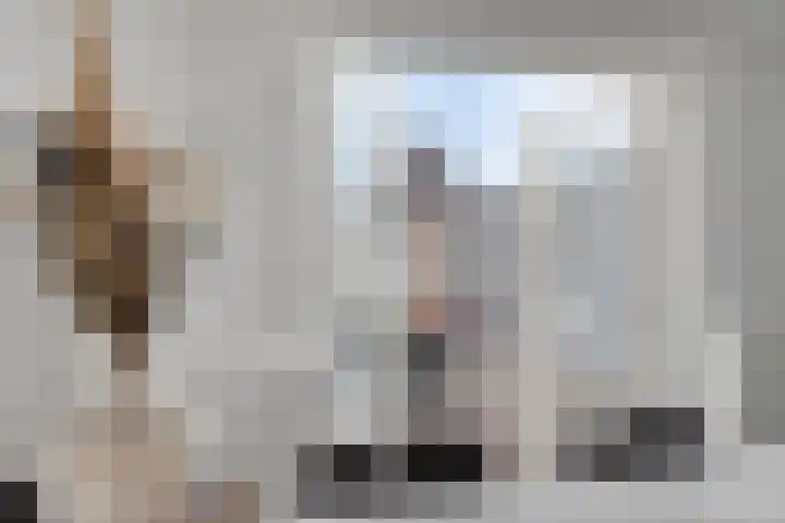 Nieuwstraat 12 Hansweert thumbnail 10