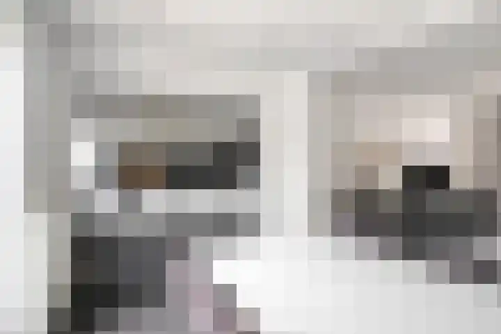 Nieuwstraat 12 Hansweert thumbnail 13