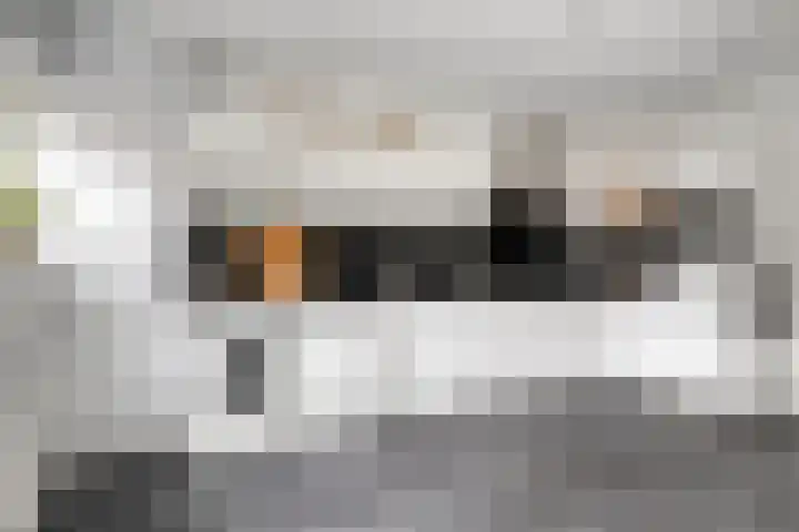 Nieuwstraat 12 Hansweert thumbnail 14