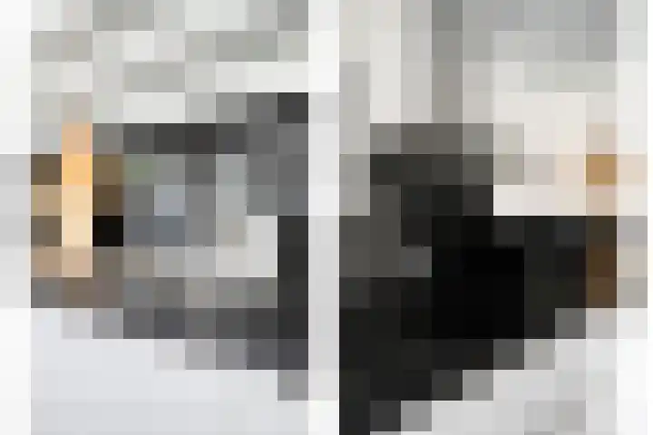 Nieuwstraat 12 Hansweert thumbnail 15