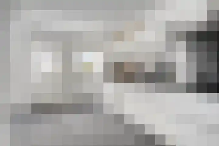 Nieuwstraat 12 Hansweert thumbnail 16