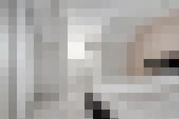 Nieuwstraat 12 Hansweert thumbnail 22
