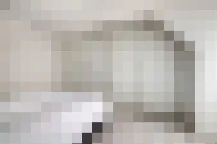 Nieuwstraat 12 Hansweert thumbnail 23