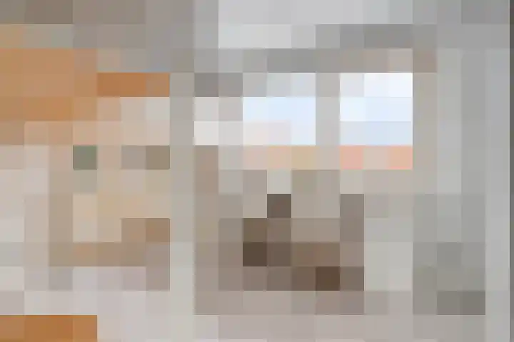 Nieuwstraat 12 Hansweert thumbnail 24