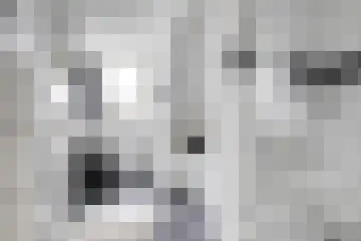 Nieuwstraat 12 Hansweert thumbnail 29
