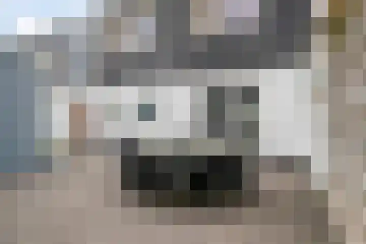 Nieuwstraat 12 Hansweert thumbnail 32