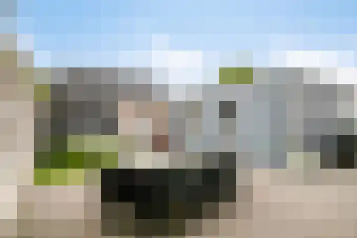 Nieuwstraat 12 Hansweert thumbnail 34