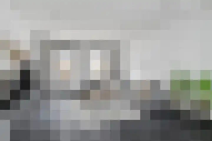 Nieuwstraat 12 Hansweert thumbnail 5