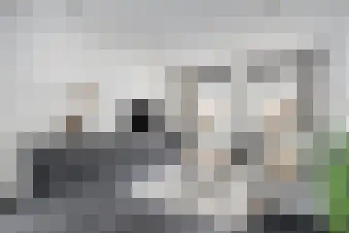 Nieuwstraat 12 Hansweert thumbnail 6