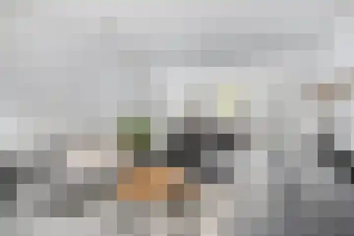 Nieuwstraat 12 Hansweert thumbnail 7