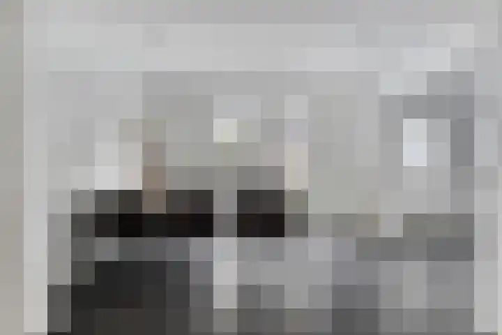 Nieuwstraat 12 Hansweert thumbnail 9