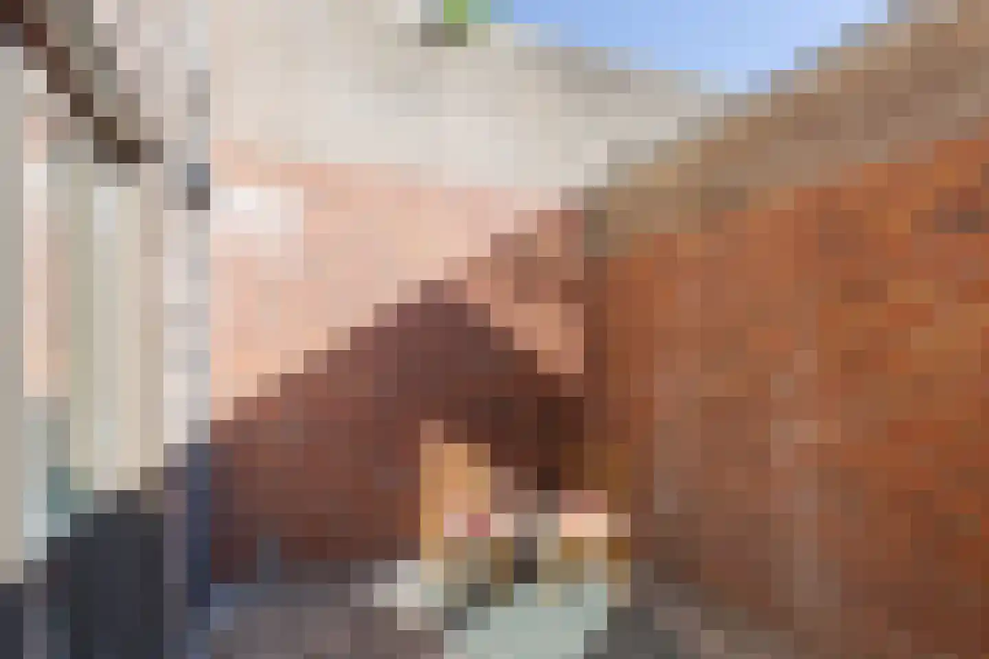 Nieuwstraat 12 Heerenveen thumbnail 23