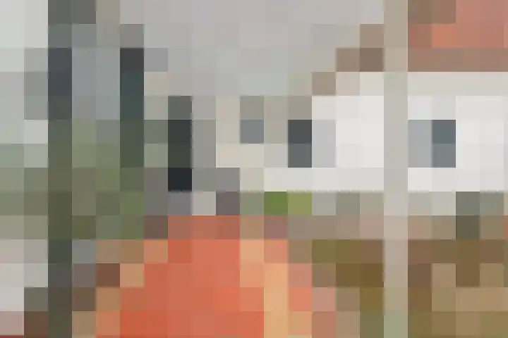 Nieuwstraat 12 Koewacht thumbnail 12