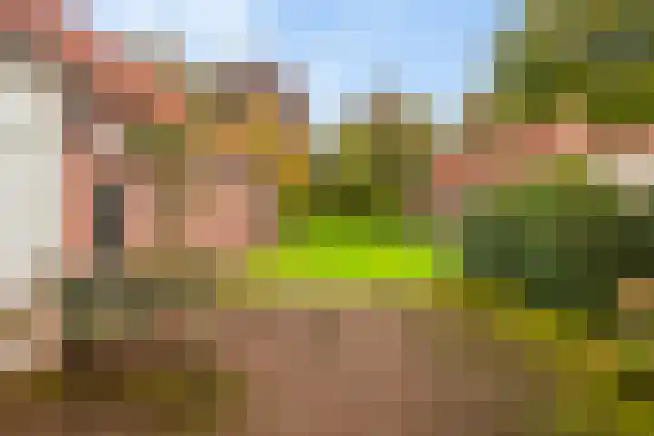 Nieuwstraat 12 Koewacht thumbnail 14