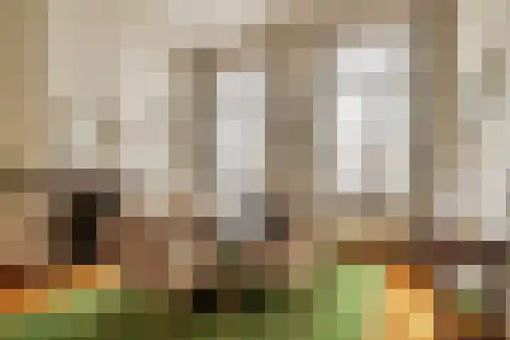 Nieuwstraat 12 Koewacht thumbnail 16