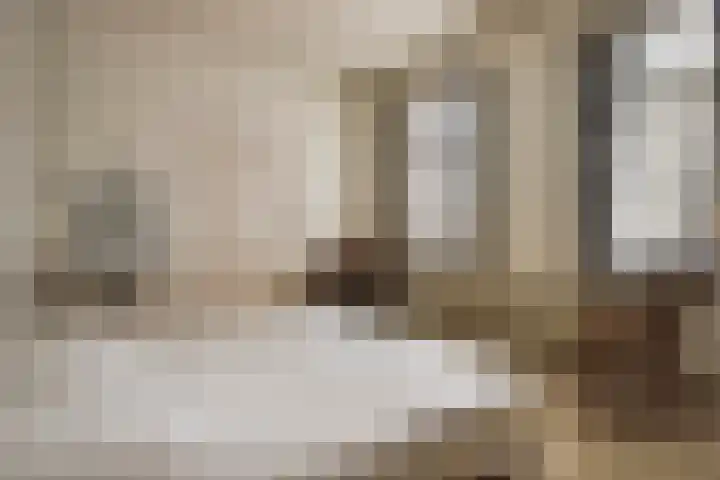 Nieuwstraat 12 Koewacht thumbnail 25