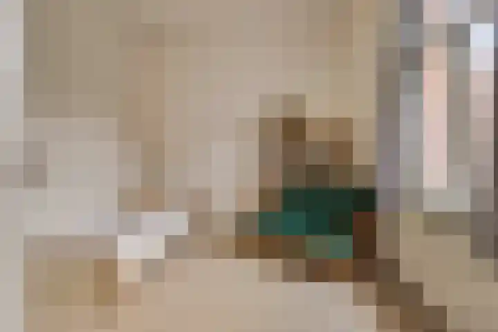 Nieuwstraat 12 Koewacht thumbnail 26