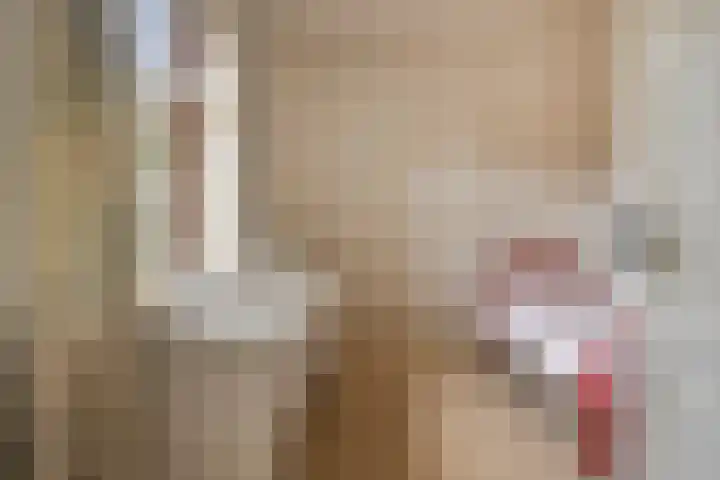 Nieuwstraat 12 Koewacht thumbnail 27